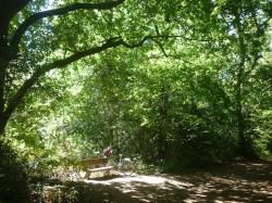 Marche 10/ CR- Le BURCK MERIGNAC