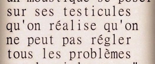 C'est en voyant un moustique