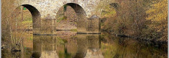 44 . Loire Atlantique - Château-Thébaud (1) - Pont