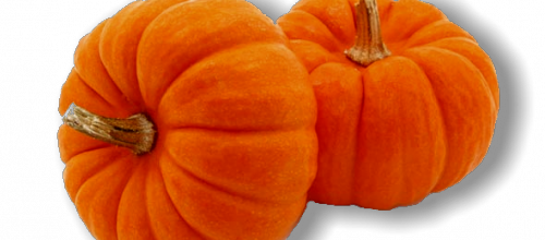 Tarte d'automne : à la citrouille / au potiron 