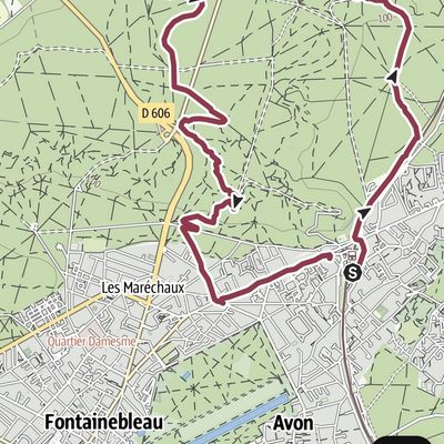 Dans la forêt de Fontainebleau (1/3)