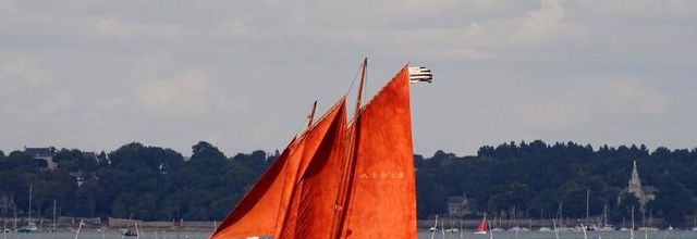 L'île aux Moines - Journée réussie