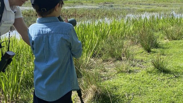 Biodiversité