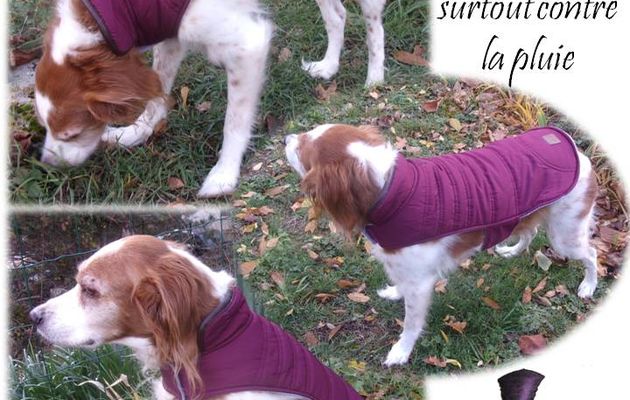 Nouvelles Emy - son manteau