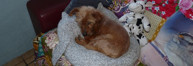 Nuages noirs pas de pluie!