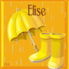429 pluie automne