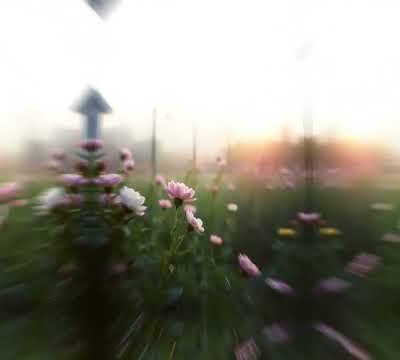 Corine chante des chansons qui ...