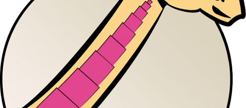 NOUVEAU SITE