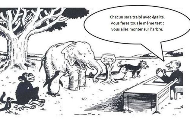 Egalité / Equité