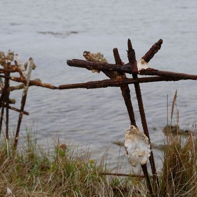 Soirée spectacle du 7 octobre 2025