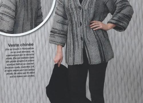 Mon avancée de la veste   "Jeu de points" avec Dane