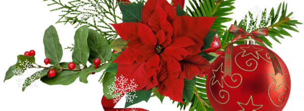 Un conte de Noel d'Alsace
