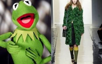 mode fashion comic books kermit the frog prada 