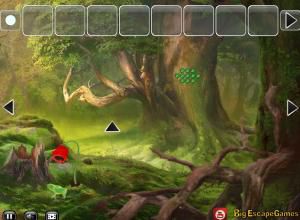 Big Help the mysterious snail soluce