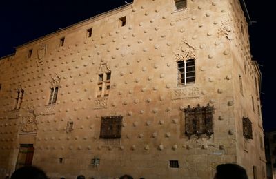 Les 14 et 15 avril 2025 : Salamanque 4 : Casa de las Conchas
