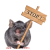 Blinkie non je ne sais pas blinkie, image fixe