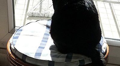 Dernier dimanche d'août
