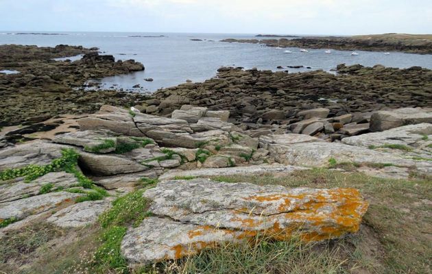 un goéland qui se repose