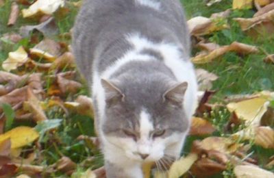 mimi vous souhaite une bonne fin de semaine
