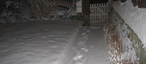 neige