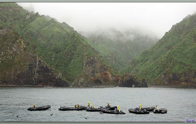 La balade en Zodiac se prépare malgré une pluie battante et grâce à une mer très calme - Quest Bay - Gough Island - Tristan da Cunha