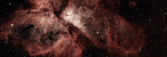 Namibie 2023 : Partie 4 Astronomie et safaris dans le Kalahari