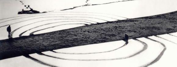 DENNIS OPPENHEIM