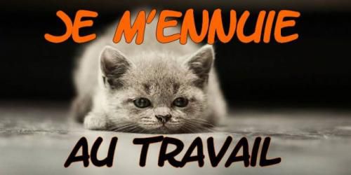 Un test de prédisposition à l'ennui. (3)