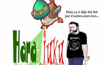 50- festival Hara Juku report