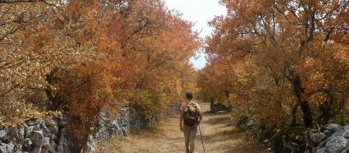 Automne sur le Causse 1