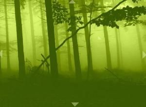 Riki1.eu - Escape from the ghost forest soluce