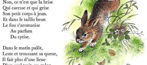 Le petit lièvre (Maurice Rollinat)