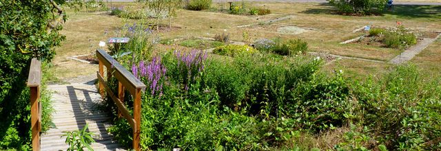 Le Jardin Jean-Marie Pelt à Villers-les-Nancy/3