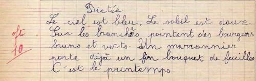 CE1 : Des dictées "tous niveaux" 