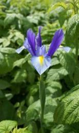 Avec le retour du printemps, le retour des balades...