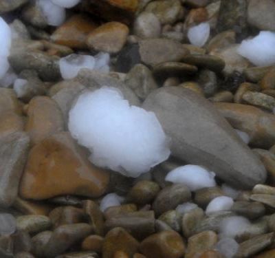 Avant et après l'orage de grêle... le jardin !