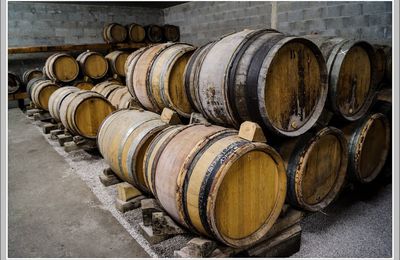 In vino veritas... et in tonneau!