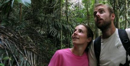 Malaisie Episode 3 : Le Taman Negara. Tout ce qui reste de la forêt primaire, un parc d'attraction ?