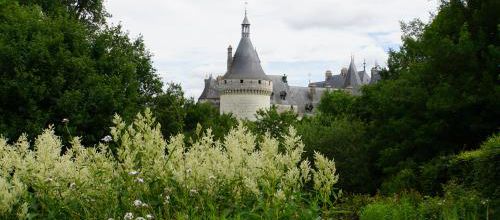 le jardin idéal : un peu de tout ça