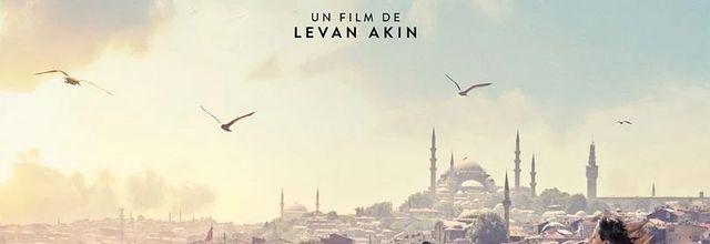 Semaine du 19 au 25 février 2025