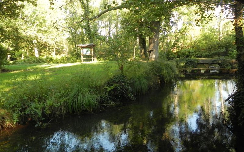 Reflet à la Sourgue - Sanguinet