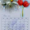 Bonjour Mois de Mars !