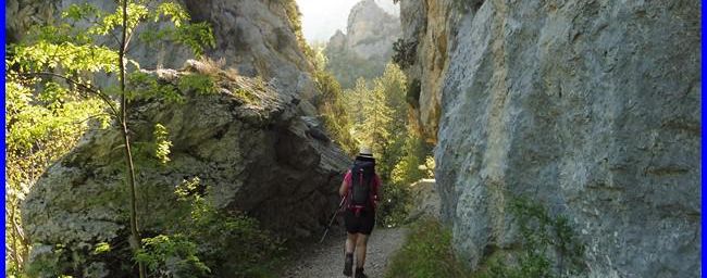 Dans les gorges de l'Estoublaïsse