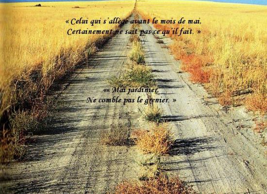Citations en images : Mai