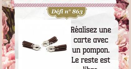 Passion Cartes Créatives#863 !