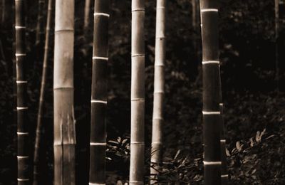 Méditation *Lâcher prise sur ce qui était * Richard Rohr