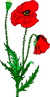 Botanic et le printemps
