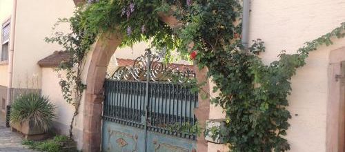 projet 52 porte
