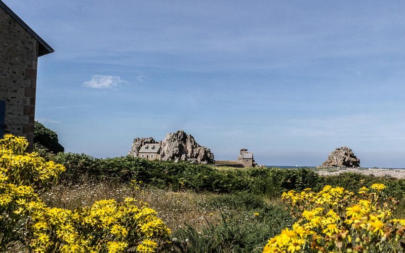 Breizh 2016/4  : Quelques taches jaunes 