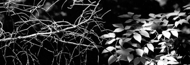 Méditation: L'histoire de l'être - Richard Rohr